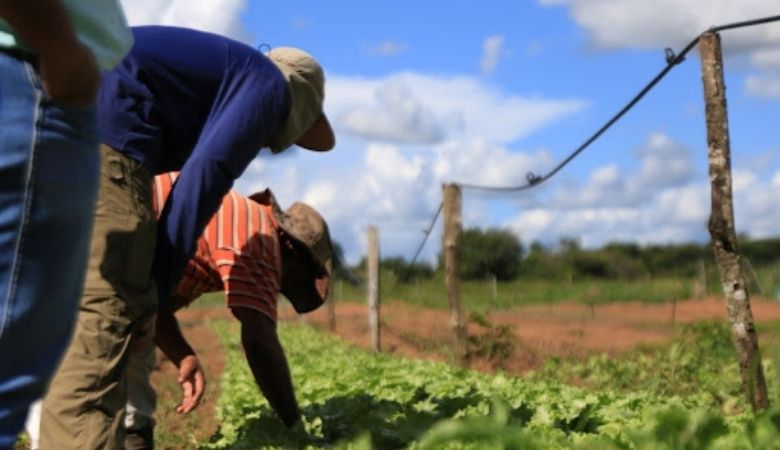 ferramentas para agricultura familiar