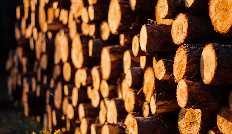 alemanha exportação de madeira