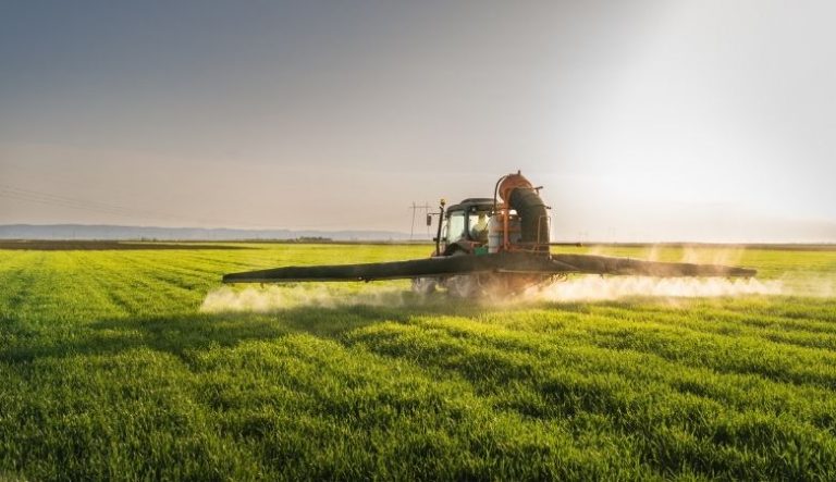 Fertilizantes foliares: o que são, cuidados e quando aplicar