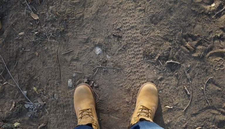 9 técnicas para melhorar o solo e aumentar os lucros