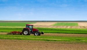 Calendário de plantio agrícola: Melhores épocas para plantar hortaliças, frutas, verduras e legumes (2026)