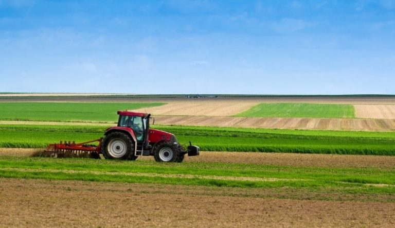 Calendário de plantio agrícola: Melhores épocas para plantar hortaliças, frutas, verduras e legumes (2026)