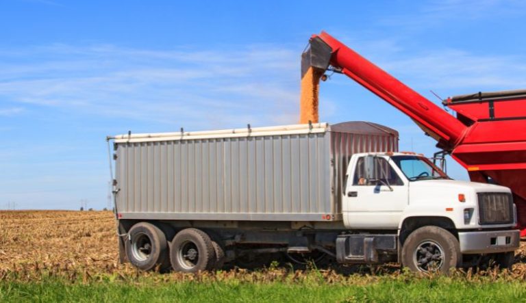Como reduzir a perda de grãos no transporte rodoviário: 7 dicas + principais causas