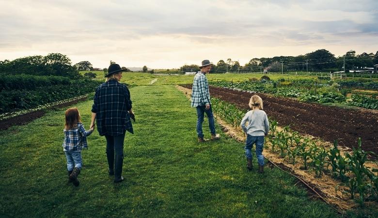 Como tornar a agriculta familiar mais lucrativa