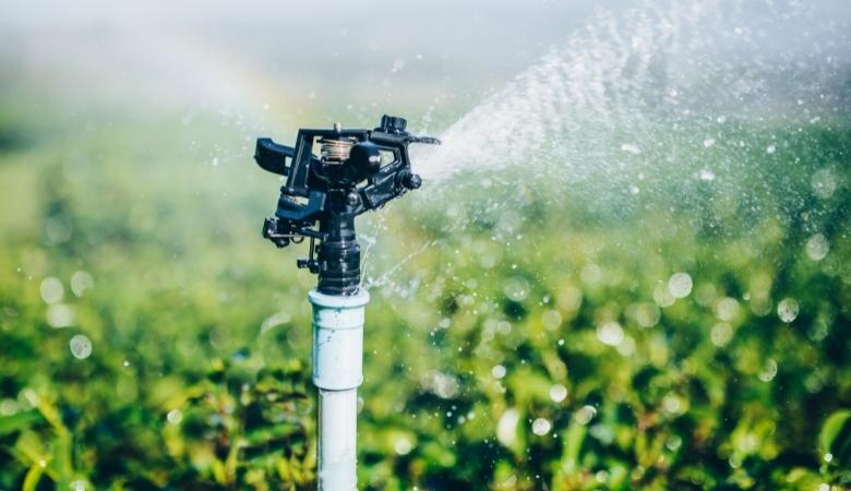 Irrigação por aspersão