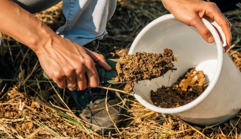 Empobrecimento do Solo: O que é, Principais Causas e Como Evitar
